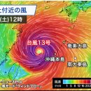 국지15호 네이버블로그