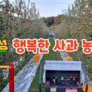 사광농장 네이버블로그
