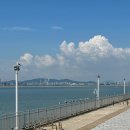 파도회집 | 오이도 맛집 파도회집 A세트 후기!