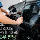 지스템