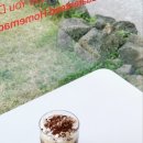차차커피코제주