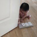 +400 집안일이 싫어