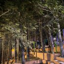 힐링도시숲 화장실 이미지