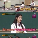 고래의 꿈 민박 이미지