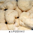 푸른환경개발 이미지