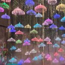 가족나들이 | 울산 아이랑 가볼만한곳 자수정동굴나라 아기랑 가족나들이 후기