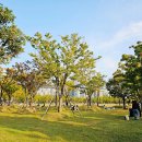 부산시민공원 이미지