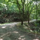 청풍펜션 이미지