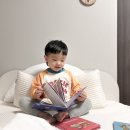 아이와 함께 생활 원예 | 4살 아이와 함께 하는 유아전집 생활동화 베베코알라 후기 및 APP 활용법