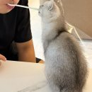 이마트24 R선릉아크로텔점 | Busy 걸의 삶