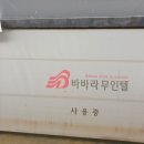 바바라무인텔 이미지