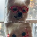 인천국제벨로드롬(사이클) | 11중순 12월 초 후기