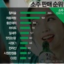 소주 판매 순위 이미지