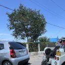 한국지엠강릉바로서비스 이미지