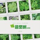 네잎클로버 이미지