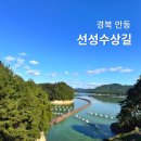 도산면보건지소 | 안동 선성수상길 주차 경북 가볼만한곳