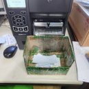 웅남동203 이미지