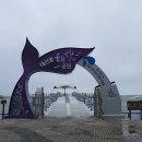 대진해상공원 이미지