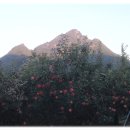 부흥농장 이미지