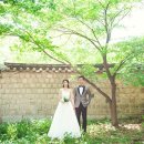 결혼이야기 이미지