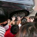 선혜유치원 이미지