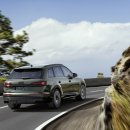 실버쉴드코리아 이미지