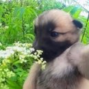 김의원 | 대만 정치대 교환학생 (3) | 유학생 보험, 건강검진, 비자, 한국 유심 정리