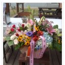 애덕이네 잔치국수 이미지