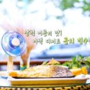 피크닉키키