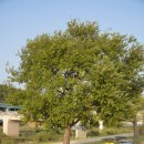 박람회길 | 2025 대구 정원박람회 후기 : 가을 정원 속 꽃길 여행, 하중도 나들이