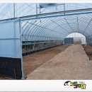 중앙흑염소농장 이미지