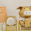 골드피그 이미지