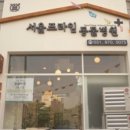 앨리스동물병원 이미지