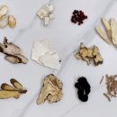 경희호랑한의원 이미지