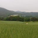 갈곡농장 이미지