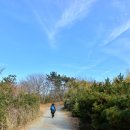 한국관광공사 추천 2월 걷기여행길,물과 함께하는 길 이미지