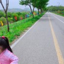 수문목장 이미지