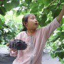 도고초등학교 이미지