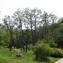 황학산수목원 이미지