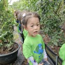 🫐블루베리 농장체험 이미지