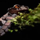 장생포 대왕암 코스 이미지