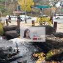 서천쌍용단지내공인중개사사무소 | 송파구 아파트 매수 후기｜50대 부부 노후 실거주 내 집 마련