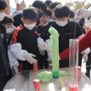 장계초등학교 이미지