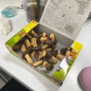 팔도 노래연습장 이미지