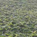 조은세상영농조합법인 이미지