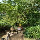 개화산 진입로 이미지