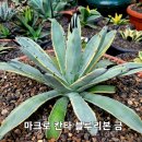 블루리본 이미지