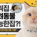 가온부동산공인중개사사무소 네이버블로그