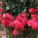 형제식품 이미지