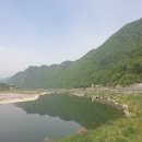 정선매운탕
